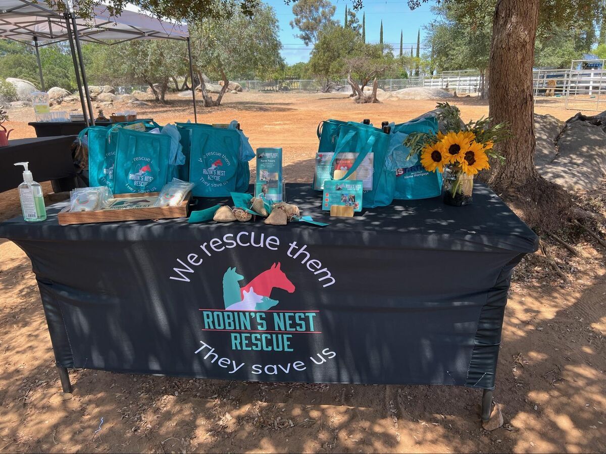 Colleagues participating in a Side by Side corporate wellness experience at the ranch.