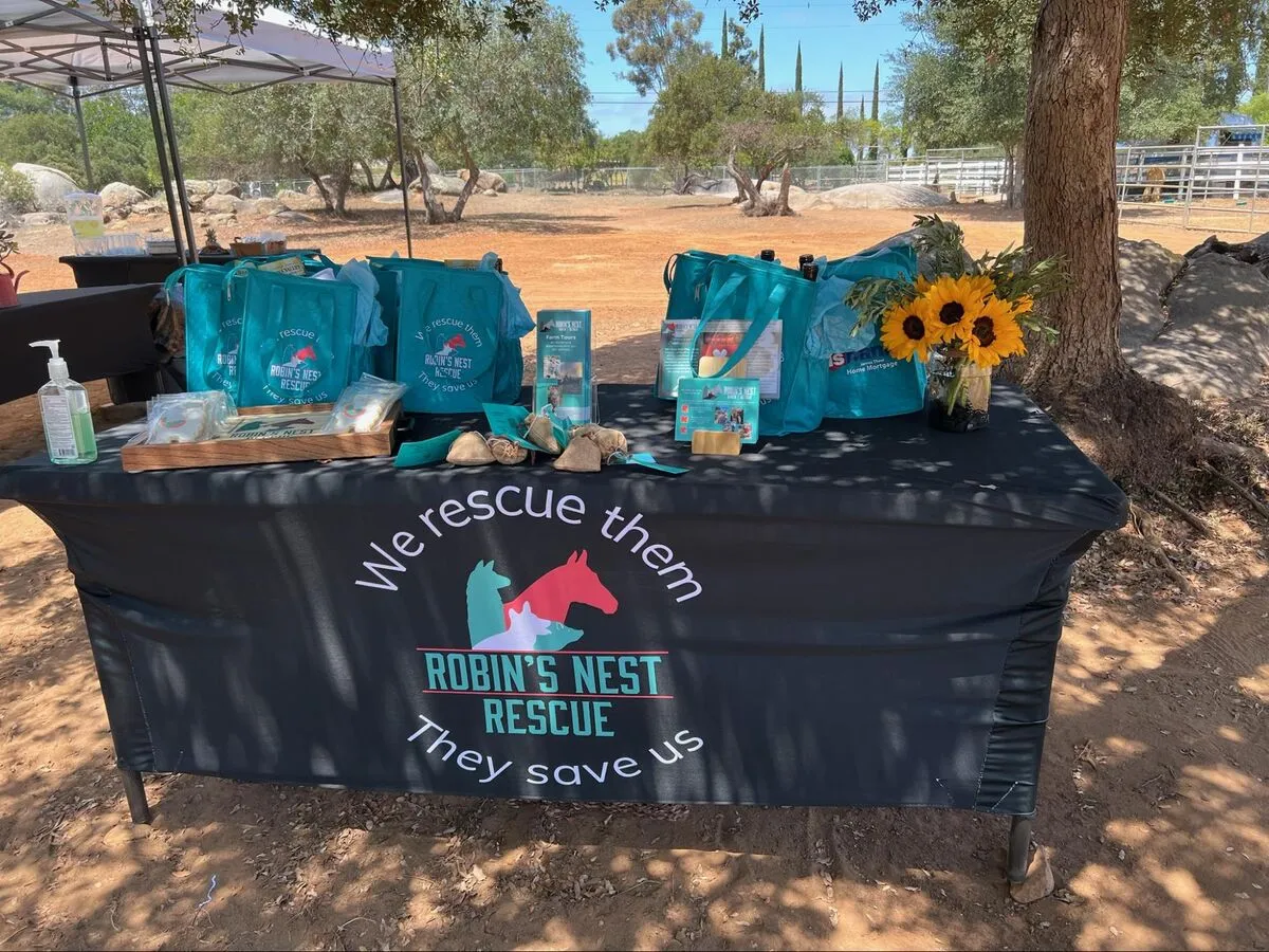 Colleagues participating in a Side by Side corporate wellness experience at the ranch.