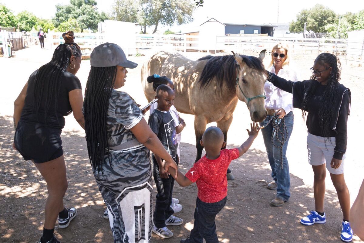 A family connecting together with sanctuary animals during a Side by Side session.