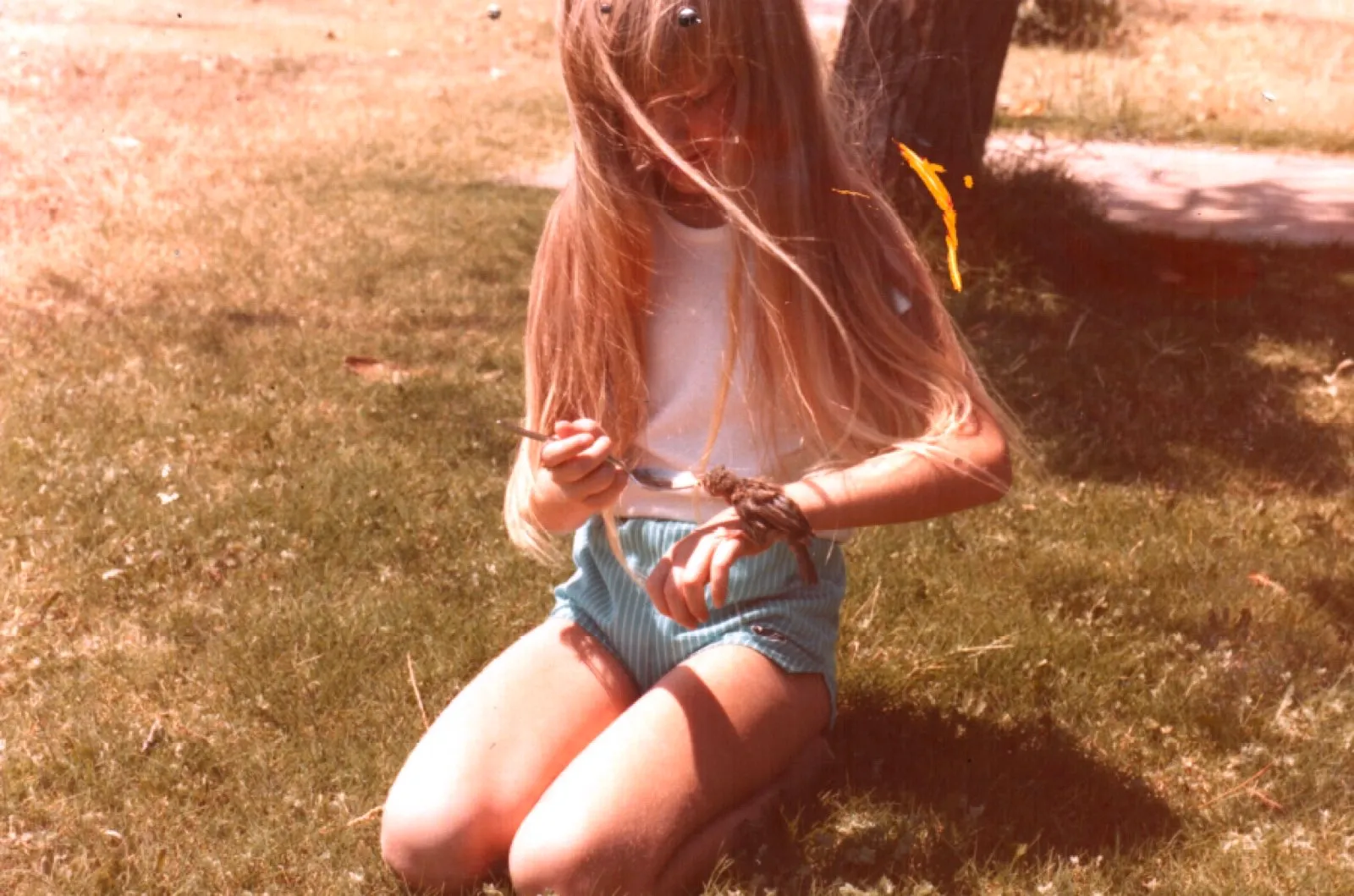 The founder as a young girl holding a small bird — Kimber and Tweety in 1982.
