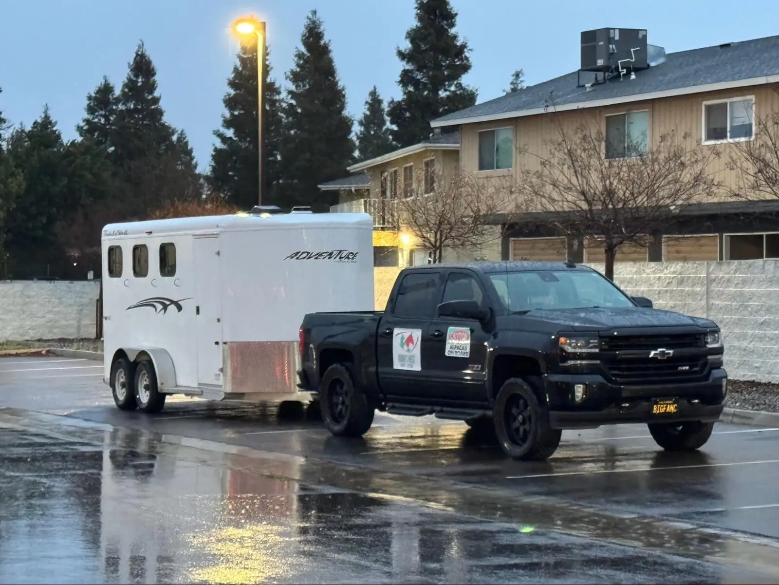 Alpacas arriving at Robin's Nest Rescue after the long drive south.