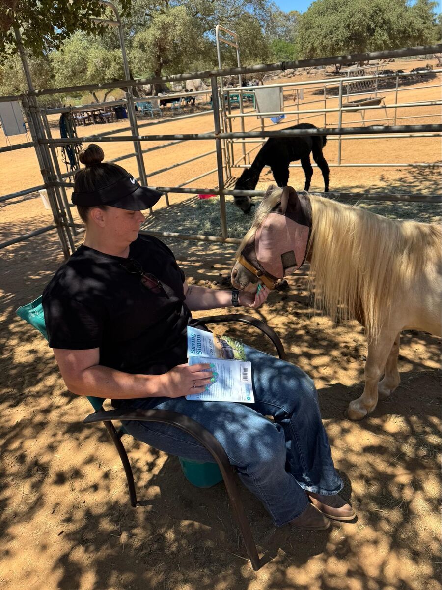 A guest sharing a quiet one-on-one moment with a rescued sanctuary animal.