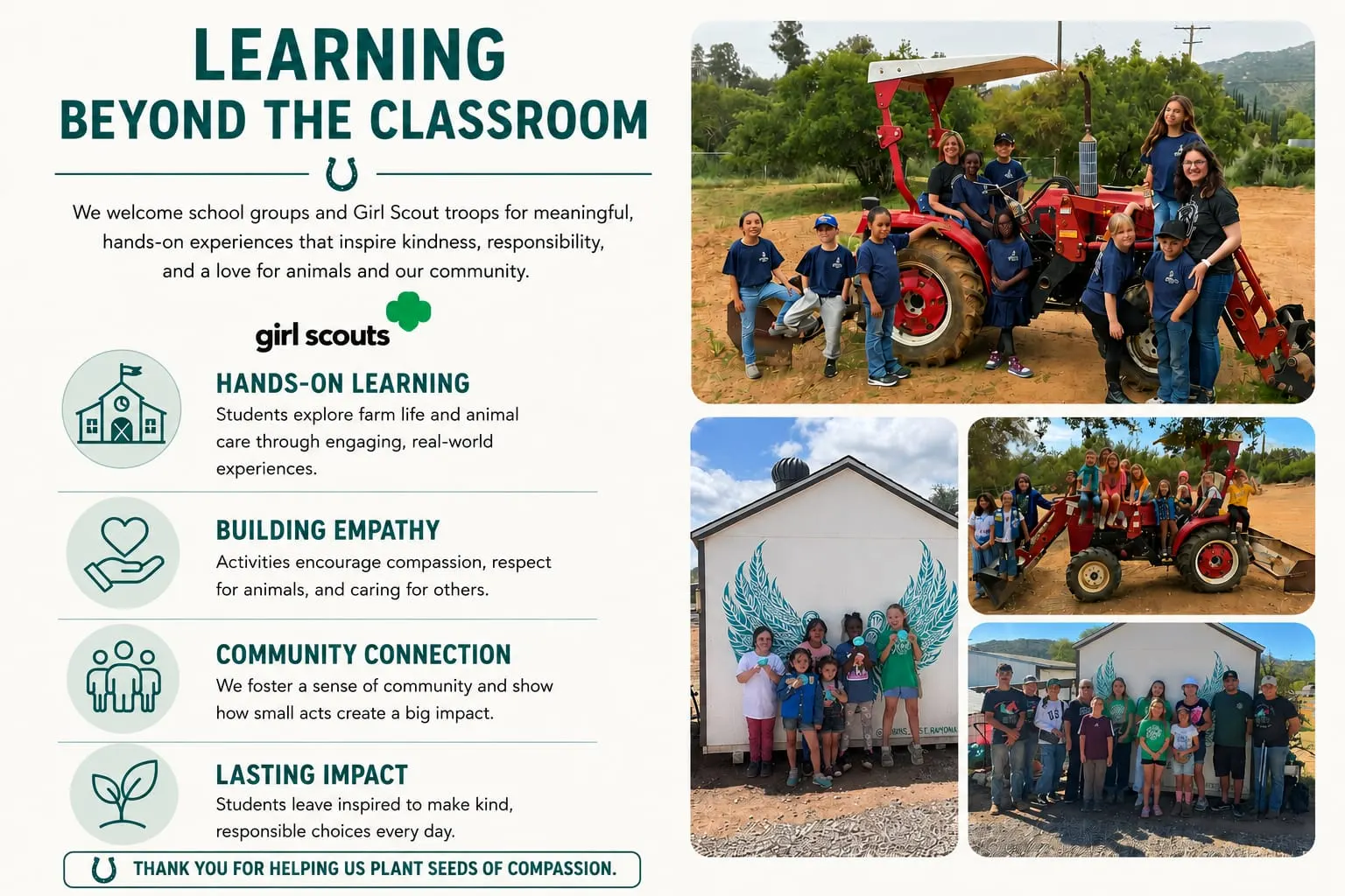 Learning Beyond the Classroom: Robin's Nest welcomes school groups and Girl Scout troops for hands-on learning, building empathy, community connection, and lasting impact through animal-assisted experiences.