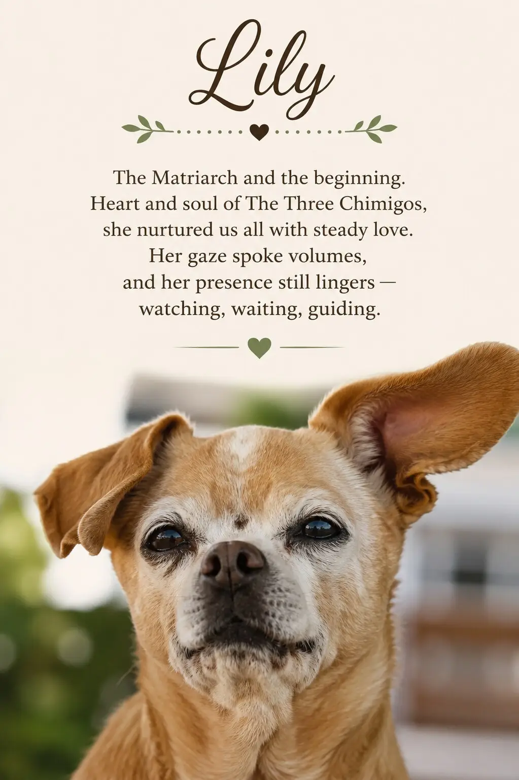 Lily, the soul. The matriarch. The quiet reverence in her eyes.