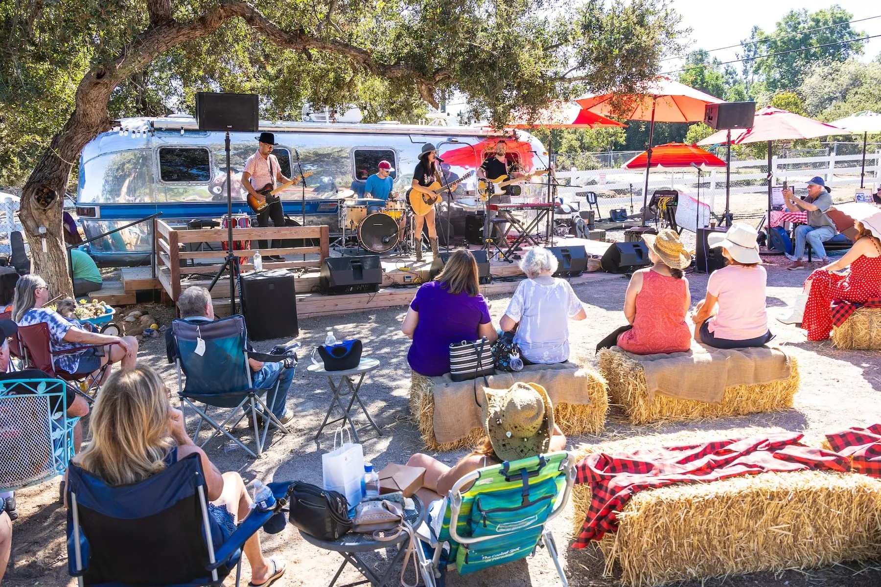 Live music and community at a past Rockin' Robin Music Fest at Robin's Nest Rescue.