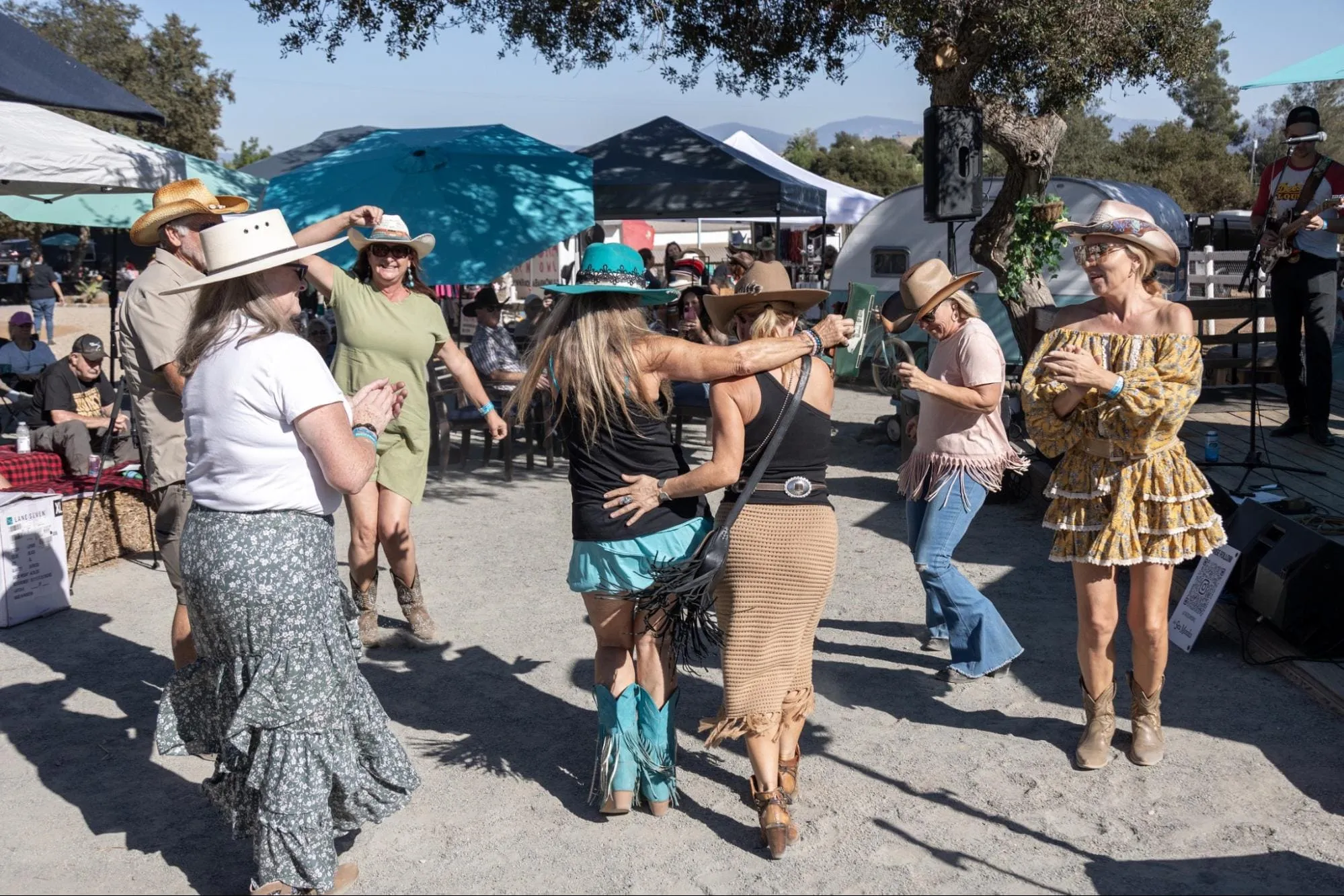 Live music and community at a past Rockin' Robin Music Fest at Robin's Nest Rescue.