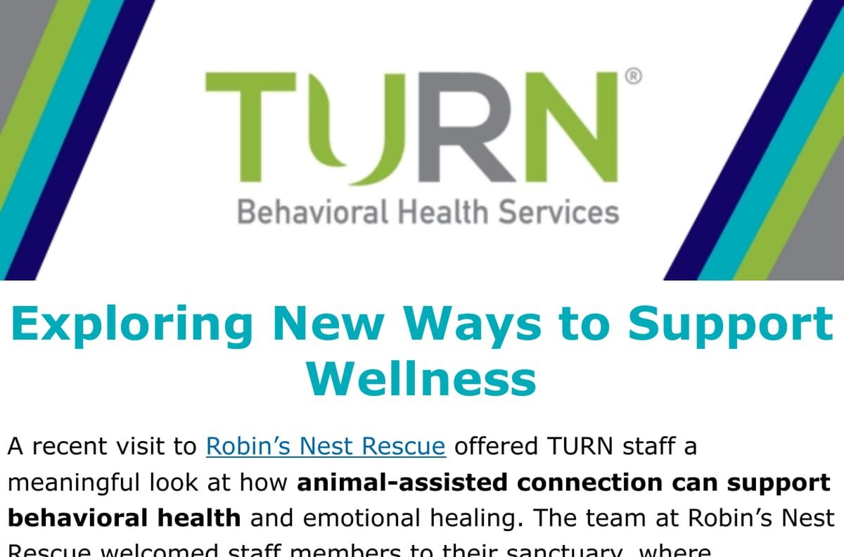 TURN Behavioral Health Services newsletter: Exploring New Ways to Support Wellness