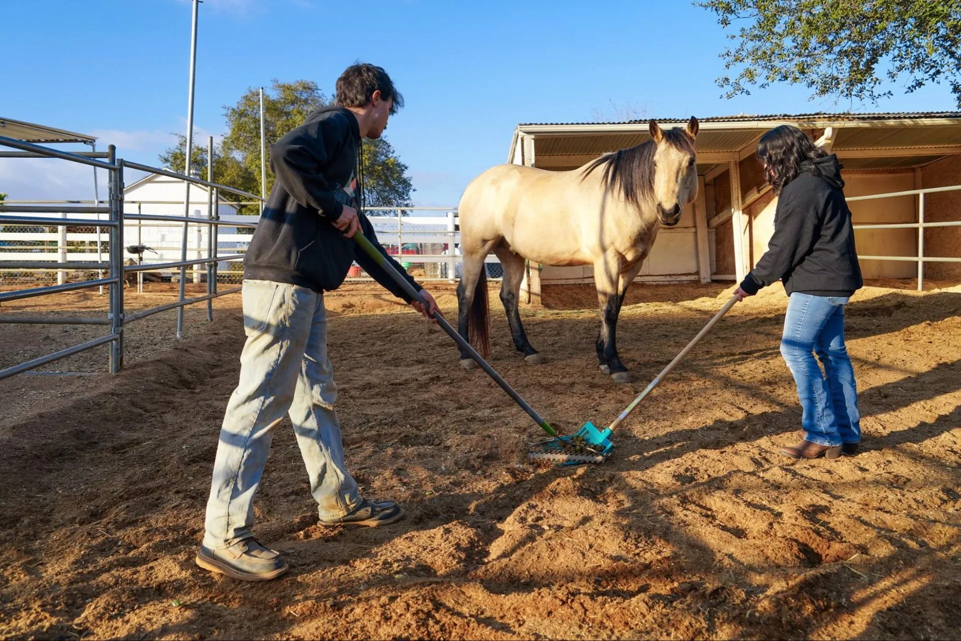 Volunteers raking a horse paddock at Robin's Nest Rescue.